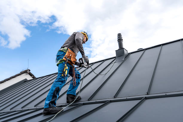 Best Gutter Installation and Repair  in Scottsboro, AL